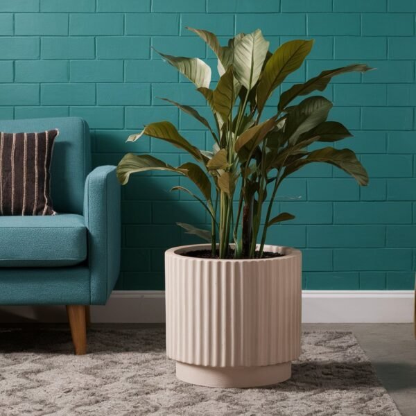 Ridgecraft Cylindrical Pot For Gift
